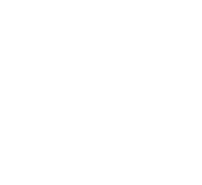 Police hat