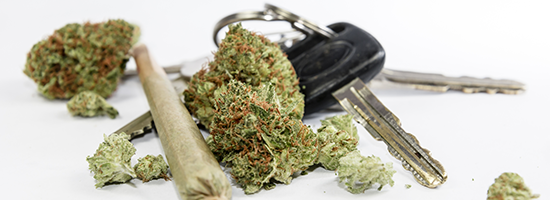 Marijuana scattered on a white surface near car keys