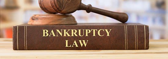 Bankruptcy Law book