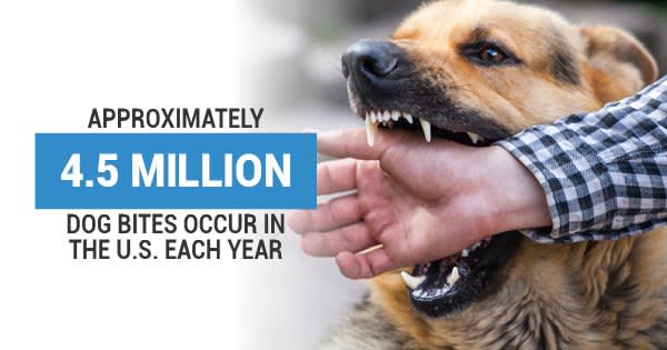 Dog bite graphic