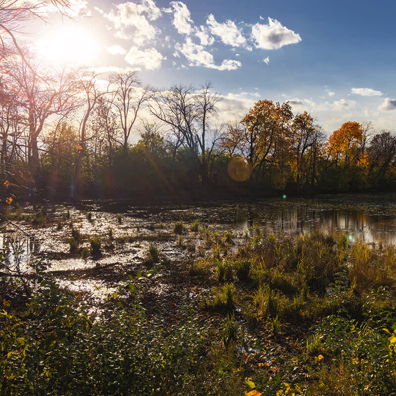 Lake in Waukesha, Wisconsin