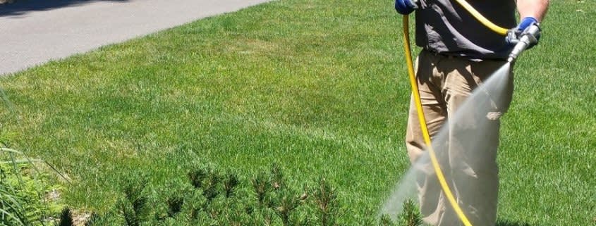 Man Watering Grass.