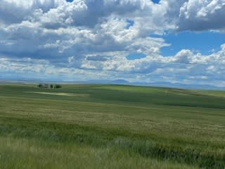 A landscape of a grassy palin and blue sky