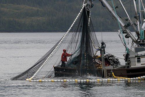 Fishermen pulling up a net from water