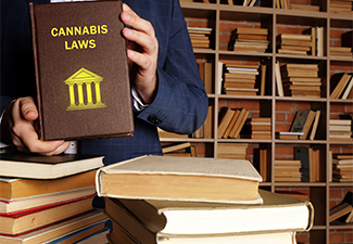 Cannabis Laws Inscription on The Book