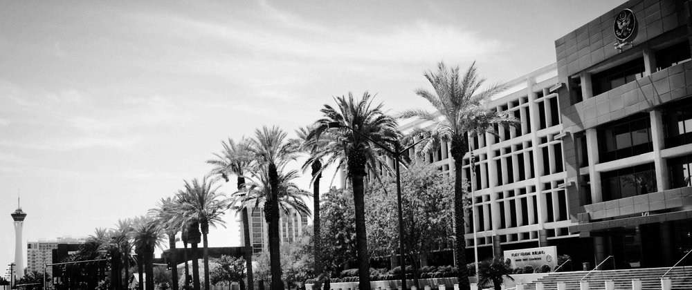 Palm Trees and Building