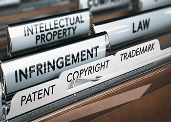 Intellectual Property Rights