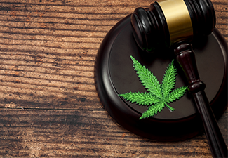 Marijuana Leaf and A Wooden Gavel Isolated on Wood Background