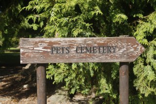 Pet cemetery sign