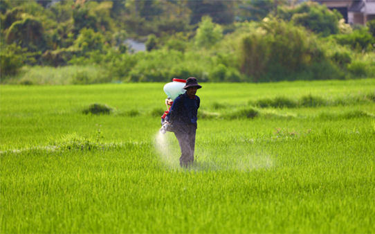 Person in a field spraying chemicals on the grass