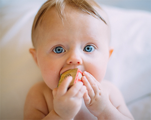 Small baby holding and chewing on wooden block