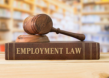 Employment Law Book and Gavel