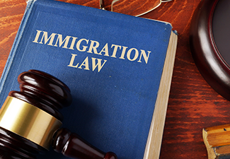 Book with Title Immigration Law on A Table