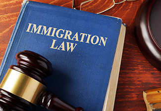 Book with Title Immigration Law on A Table