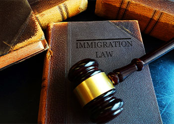 Gavel on top of Immigration Law Book