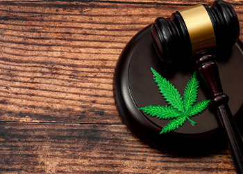 Marijuana leaf and a wooden gavel on wood background 