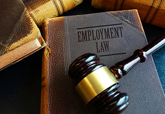 Employment Law Book with Gavel on Top