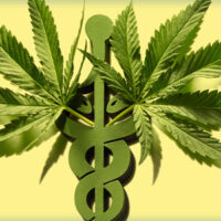 medical marijuana leaf