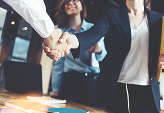 Young business people shaking hands in the office