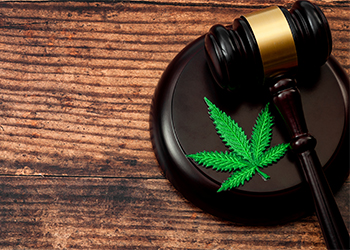 Marijuana leaf and a wooden gavel
