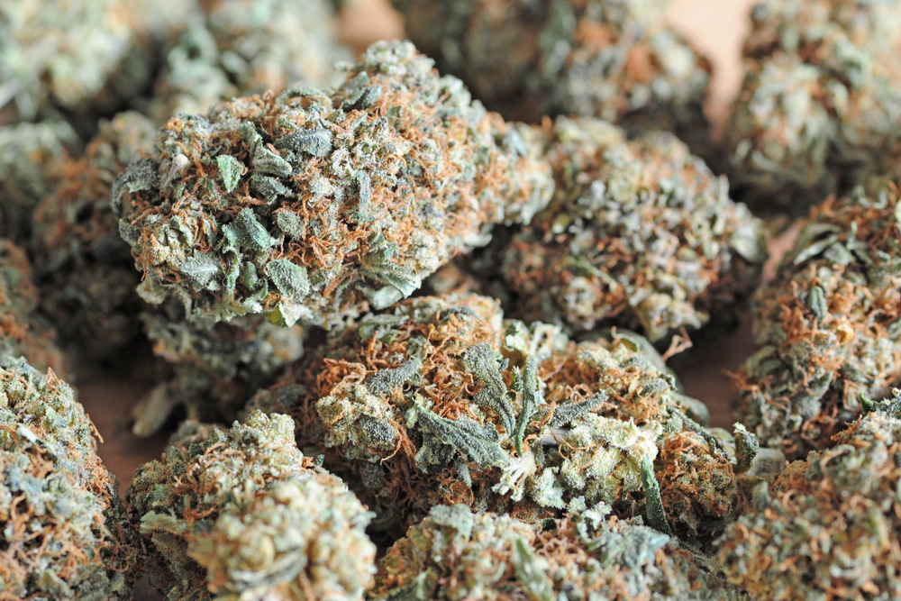weed