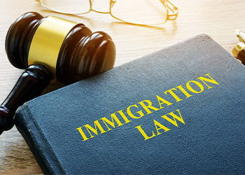 Immigration law book and gavel