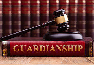 Gavel And Striking Block Over Guardianship Law Book