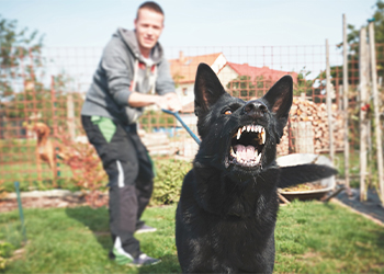 Owner holding aggressive dog