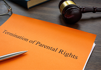 Documents about Termination of parental rights in a court
