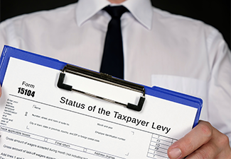 Form 15104 Status of the Taxpayer Levy