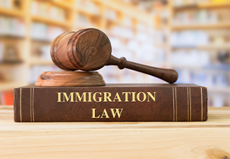 Immigration law book and gavel on table