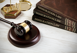 Immigration law book with judges gavel