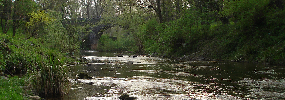 Creek
