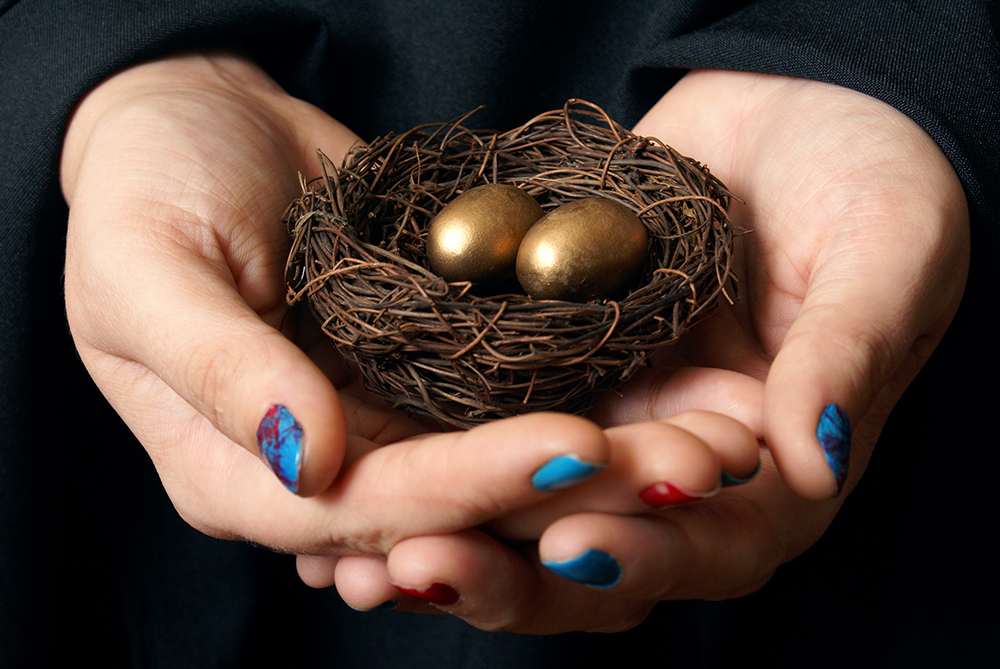 asset-protection-nest-egg