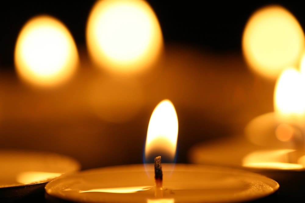 Kildeer Pedestrian Fatally Struck on Quentin Rd