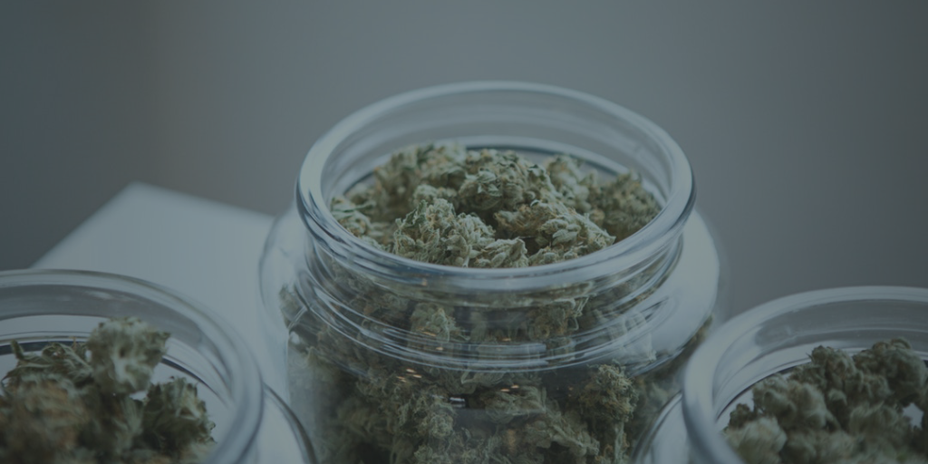 Cannabis