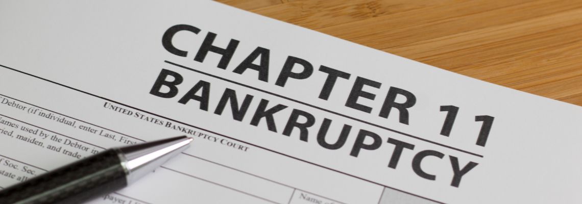 Bankruptcy Chapter 11 file and pen