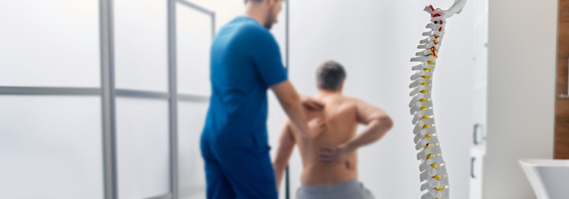 Anatomical model of spine with therapist treating a man for spinal injury