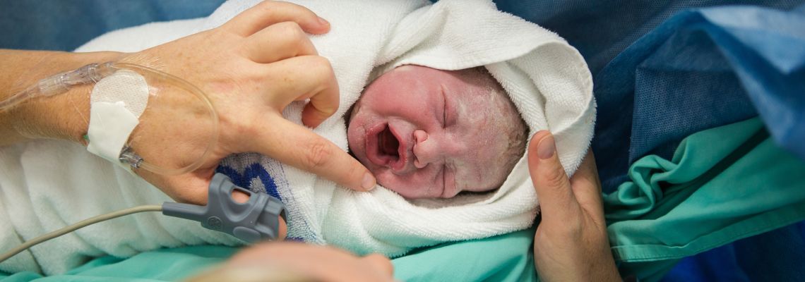 Close up image of a newly born