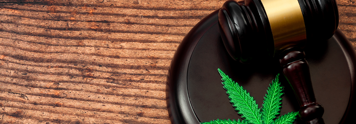 Marijuana Leaf and A Wooden Gavel on Wood Background