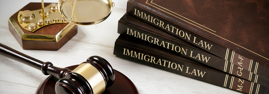 Immigration law book with judges gavel