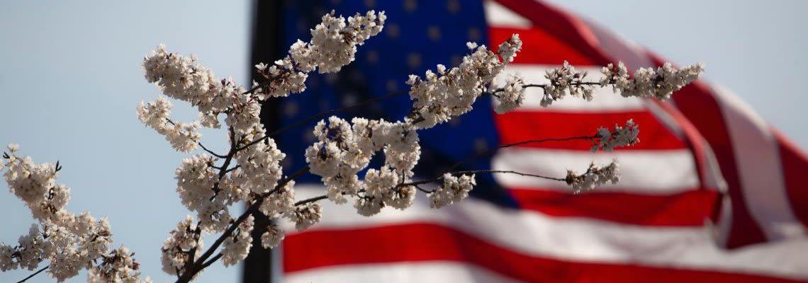 American flag with decorative tree branch
