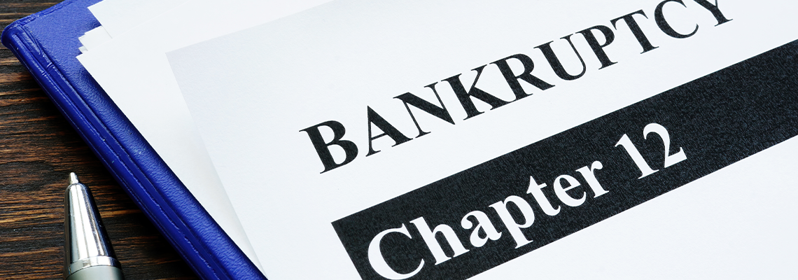 Papers about Bankruptcy chapter 12 and pen on the desk