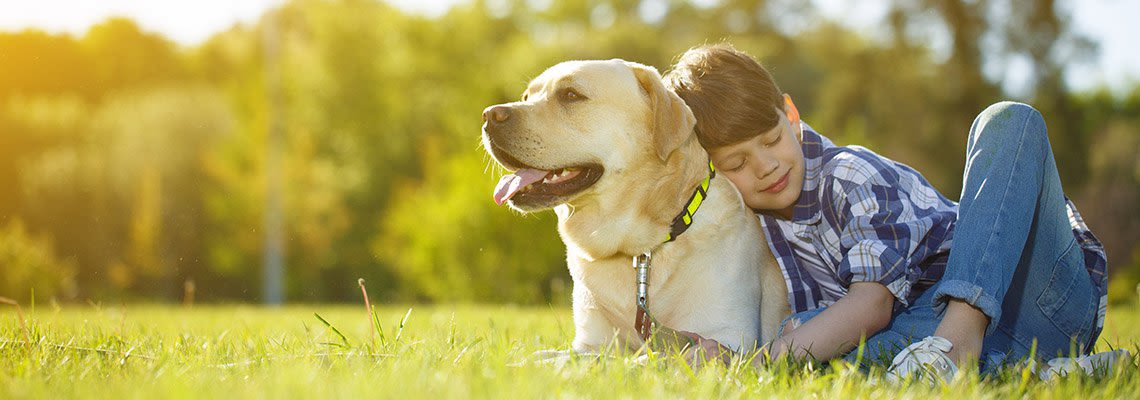 A young boy lays with his large dog outside