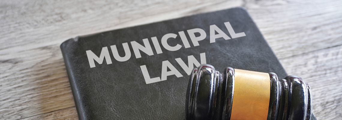 A black book titled 'MUNICIPAL LAW' with a wooden gavel