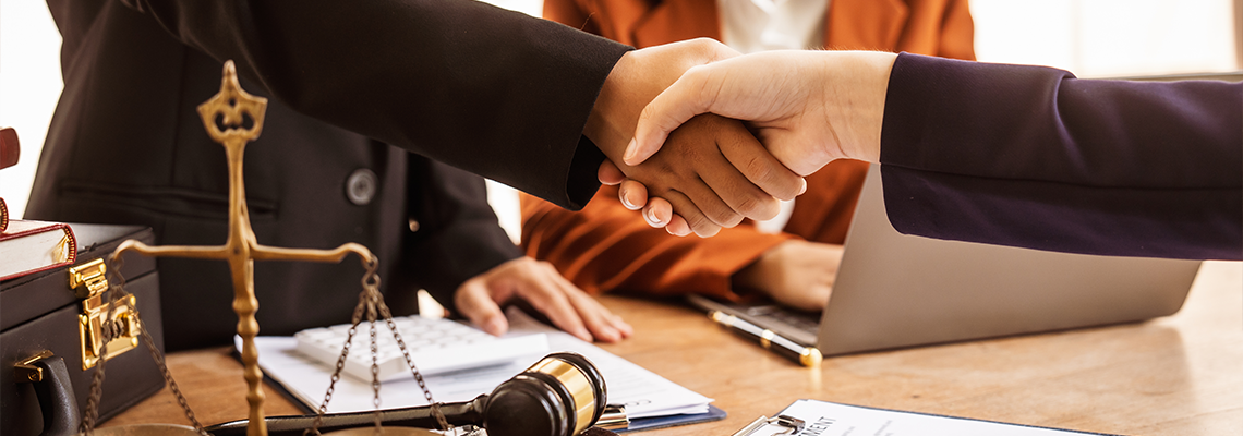 Lawyers offer legal guidance, stand for clients in court