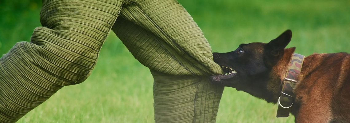 Man Is Trying to Stay Stable Despite of The Dog's Biting