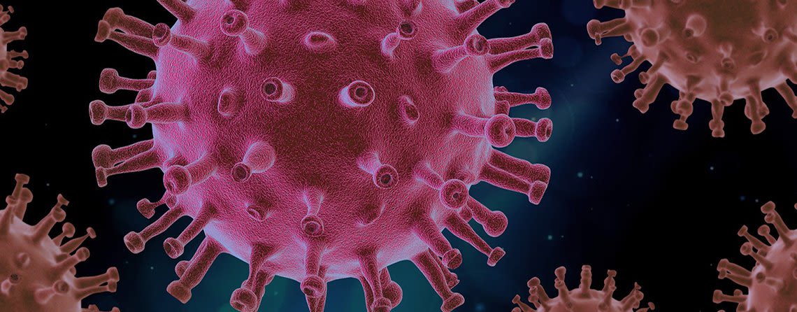 WEB virus-4937553_1920.jpg