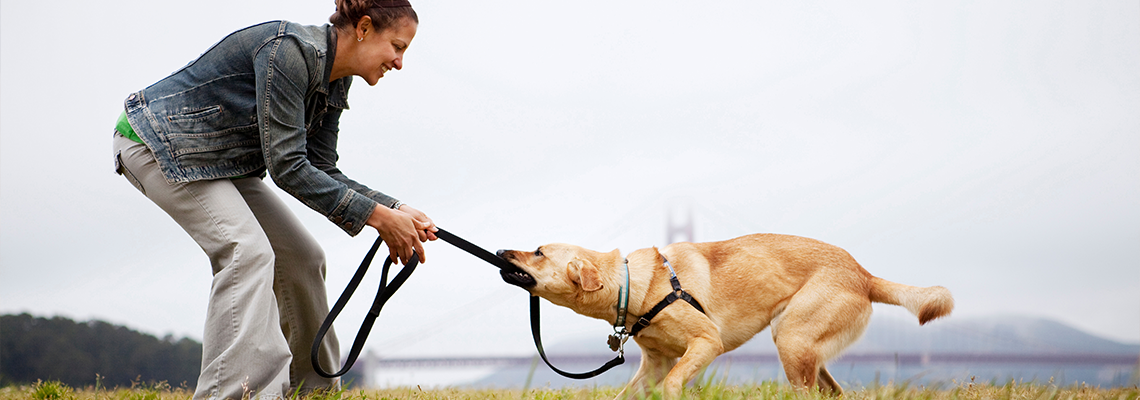 Woman playing with dog at Golden Gate Park