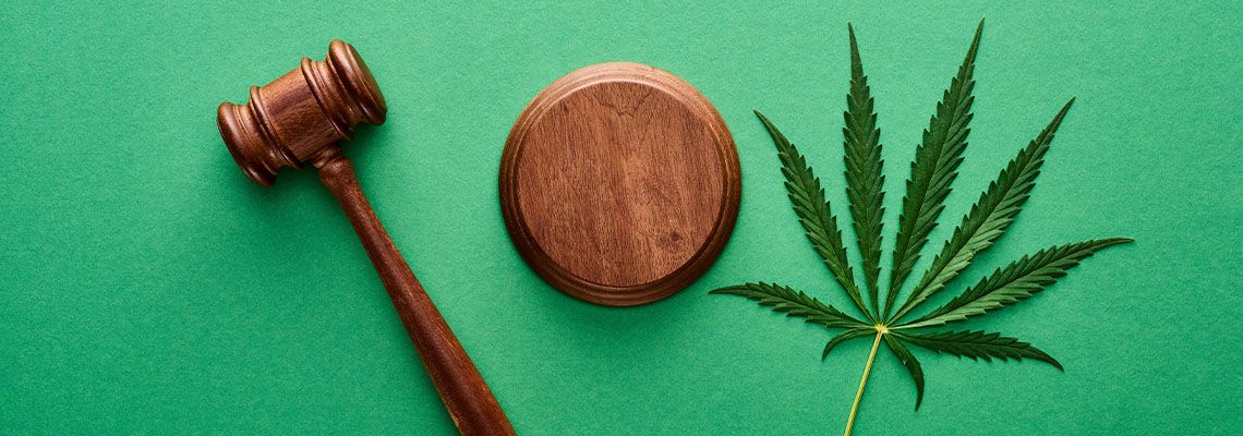 Green marijuana leaf with wooden gavel